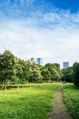 Yeşil şehir parkının güzel manzarası