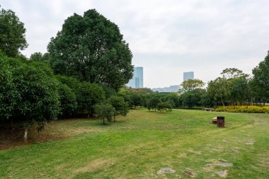 Yeşil şehir parkının güzel manzarası