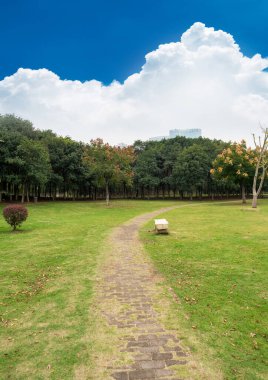 Güzel ve rahat bir bahçede, boş bir sokak. Güzel mavi gökyüzünün altında.