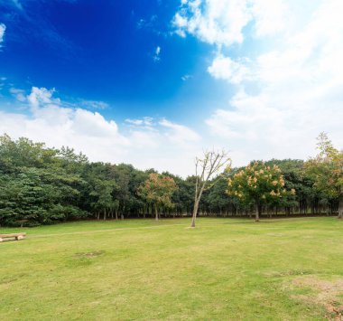 Yeşil şehir parkının güzel manzarası