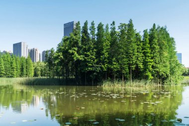 Çin 'deki Lakeside modern ofis binası