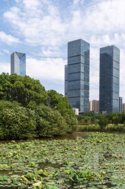 Çin 'deki Lakeside modern ofis binası
