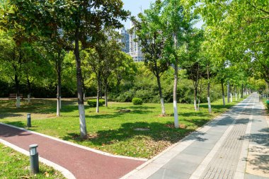 Modern şehirde yürüyüş yolu