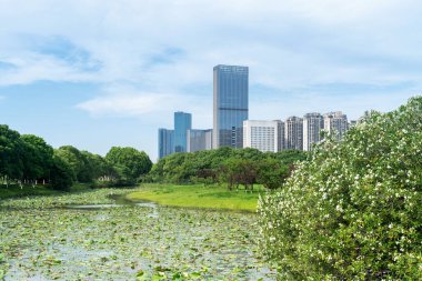 Çin 'deki Lakeside modern ofis binası