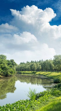 Parktaki göletin çevresi yemyeşil