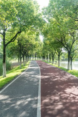 Yeni patika ve güzel ağaçlar parkta koşmak, yürümek ve bisiklete binmek için iz sürüyor. 