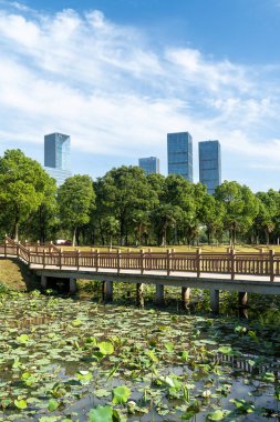 Çin 'deki Lakeside modern ofis binası