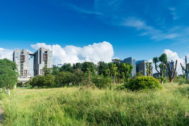 Şangay 'da modern bina geçmişi olan şehir parkı.