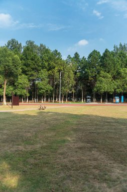 Yeşil şehir parkının güzel manzarası