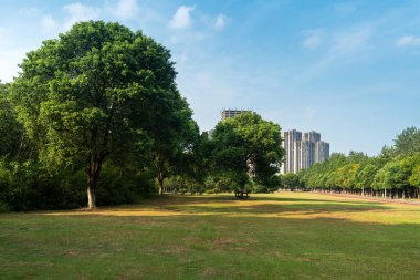 Bahar Parkı ve modern şehir
