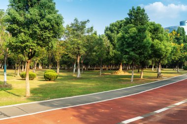 Yeni patika ve güzel ağaçlar parkta koşmak, yürümek ve bisiklete binmek için iz sürüyor. 