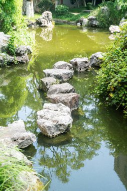 Nehirdeki basamak taşları