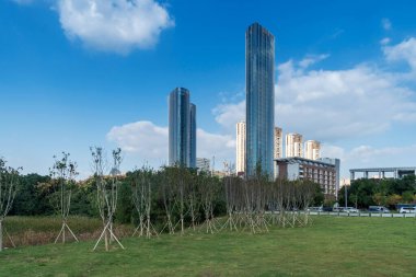 Yeşil şehir parkının güzel manzarası