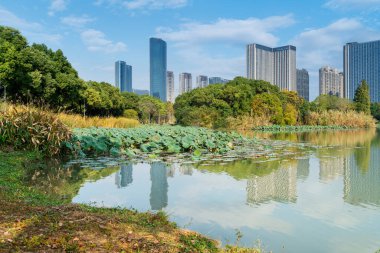 Çin 'deki Lakeside modern ofis binası