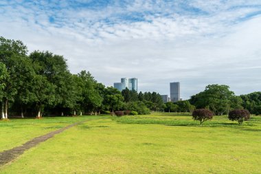 Yeşil şehir parkının güzel manzarası