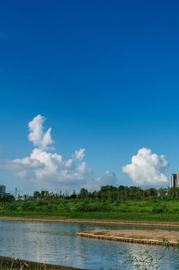 Parktaki göletin çevresi yemyeşil