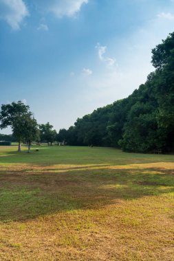 Yeşil şehir parkının güzel manzarası