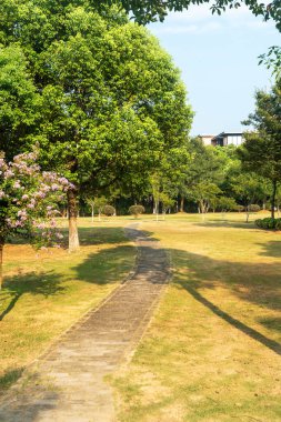 Çin 'deki Şehir Parkı yolu.