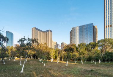 Şangay 'da modern bina geçmişi olan şehir parkı.