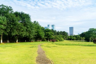 Yeşil şehir parkının güzel manzarası