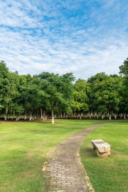 Yeşil şehir parkının güzel manzarası