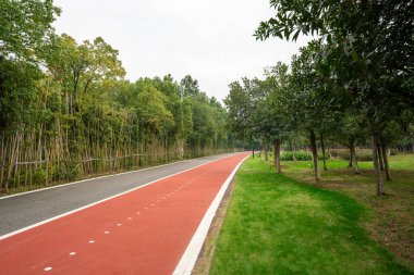 Yeni patika ve güzel ağaçlar parkta koşmak, yürümek ve bisiklete binmek için iz sürüyor. 