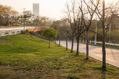Şehirdeki üst geçidin altında beton yapı ve asfalt yol alanı