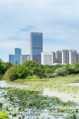 Bahar Parkı ve modern şehir
