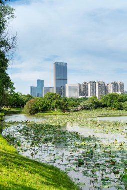 Bahar Parkı ve modern şehir