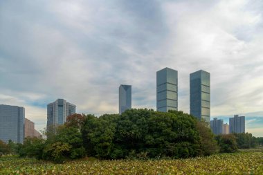 Şangay 'da modern bina geçmişi olan şehir parkı.