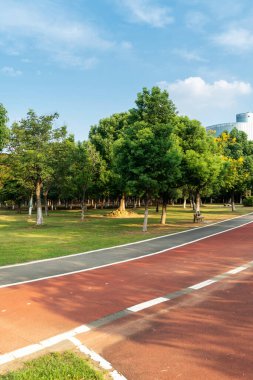 Yeni patika ve güzel ağaçlar parkta koşmak, yürümek ve bisiklete binmek için iz sürüyor. 