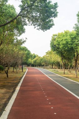 Yeni patika ve güzel ağaçlar parkta koşmak, yürümek ve bisiklete binmek için iz sürüyor. 