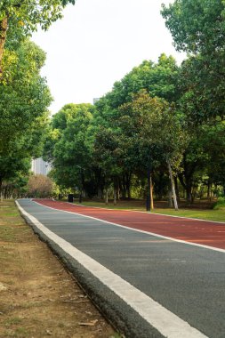 Yeni patika ve güzel ağaçlar parkta koşmak, yürümek ve bisiklete binmek için iz sürüyor. 