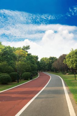 Yeni patika ve güzel ağaçlar parkta koşmak, yürümek ve bisiklete binmek için iz sürüyor. 