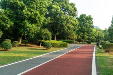 Yeni patika ve güzel ağaçlar parkta koşmak, yürümek ve bisiklete binmek için iz sürüyor. 