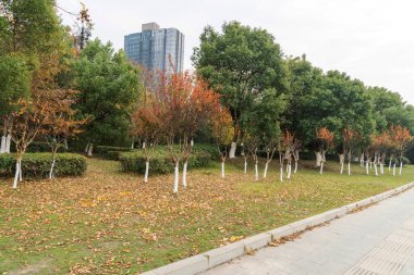 Şangay 'da modern bina geçmişi olan şehir parkı.