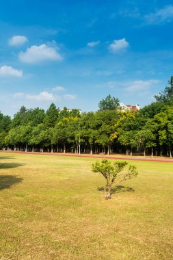 Yeşil şehir parkının güzel manzarası