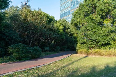 Modern şehirde yürüyüş yolu