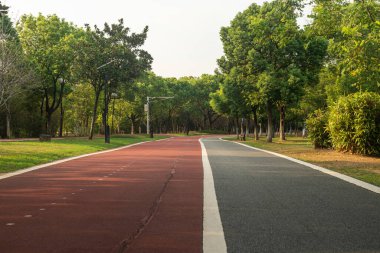 Yeni patika ve güzel ağaçlar parkta koşmak, yürümek ve bisiklete binmek için iz sürüyor. 