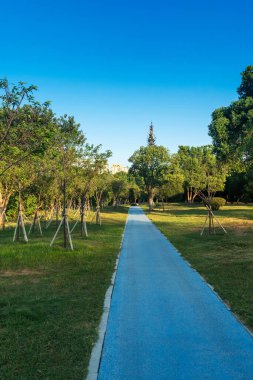 Çin 'deki Şehir Parkı yolu.