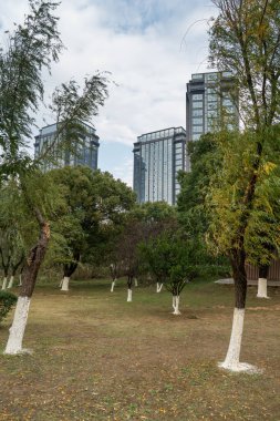 Şangay 'da modern bina geçmişi olan şehir parkı.