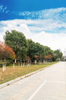 Çin 'deki Şehir Parkı yolu.