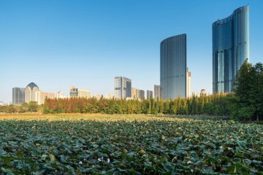 Bahar Parkı ve modern şehir