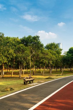 Yeni patika ve güzel ağaçlar parkta koşmak, yürümek ve bisiklete binmek için iz sürüyor. 