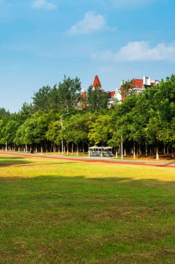 Yeşil şehir parkının güzel manzarası
