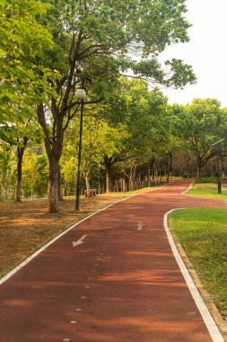 Yeni patika ve güzel ağaçlar parkta koşmak, yürümek ve bisiklete binmek için iz sürüyor. 