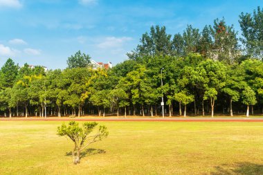 Bahar Parkı ve modern şehir