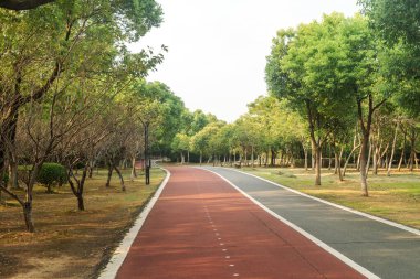 Yeni patika ve güzel ağaçlar parkta koşmak, yürümek ve bisiklete binmek için iz sürüyor. 
