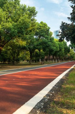 Yeni patika ve güzel ağaçlar parkta koşmak, yürümek ve bisiklete binmek için iz sürüyor. 