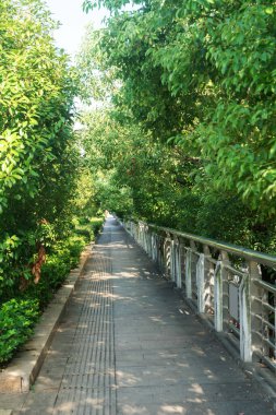 Modern şehirde yürüyüş yolu